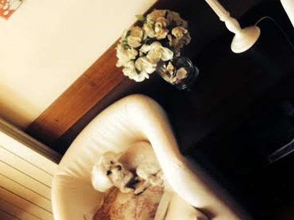 Hotel Tina - foto 23565.jpg