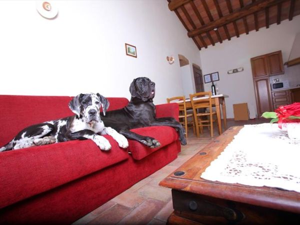 Residence Casale Voltoncino - foto 23727.jpg