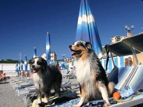 Spotorno Bagni Levante Pluto Beach - foto 23741.jpg