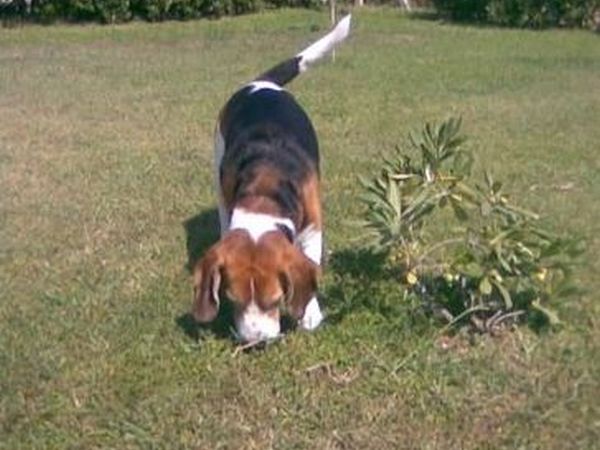 Marebello - foto 23818.jpg