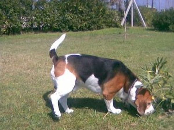 Marebello - foto 23819.jpg