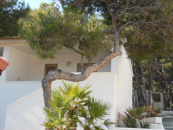 Sfinal Residence - foto 23932.jpg