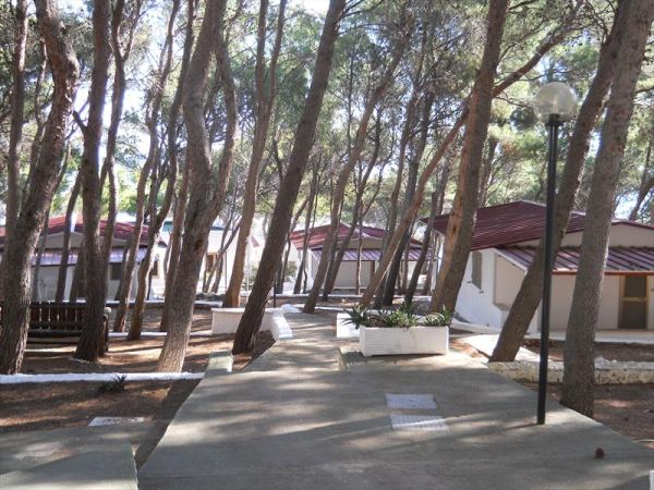 Sfinal Residence - foto 23933.jpg