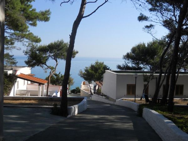 Sfinal Residence - foto 23936.jpg