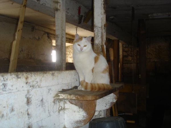 Agriturist Galli Ginetta - foto 23962.jpg