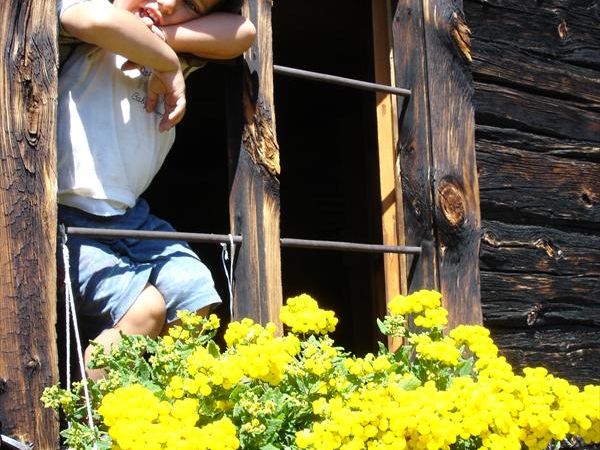 Agriturist Galli Ginetta - foto 23964.jpg