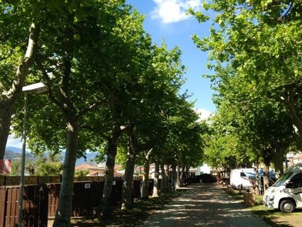 Camping Vallecrosia - foto 24016.jpg