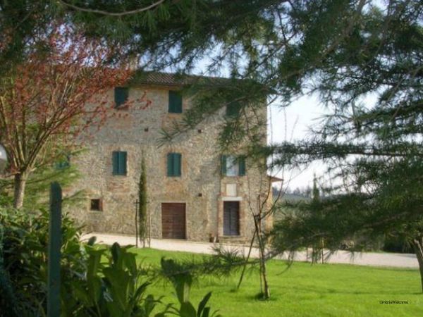 Fattoria di Rigone - foto 24019.jpg