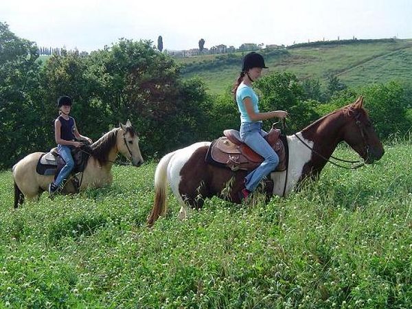  Tenuta Castellare di Tonda - foto 6356.jpg