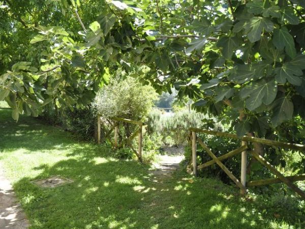 Fattoria di Rigone - foto 24036.jpg