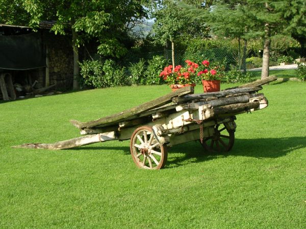 Fattoria di Rigone - foto 24040.jpg