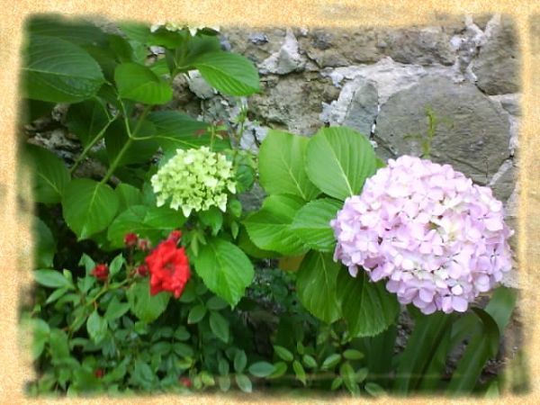 Agriturismo il Giglio - foto 6373.jpg