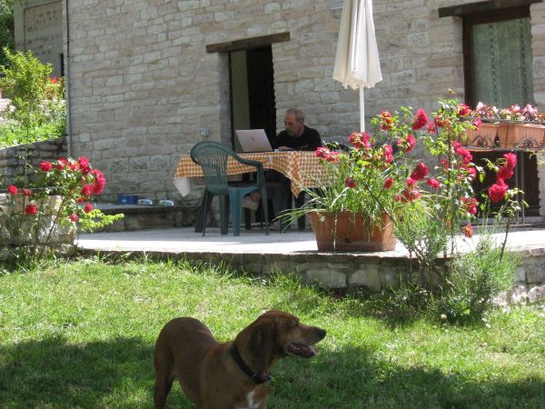 Agriturismo Il Fienile di C Battista - foto 24056.jpg