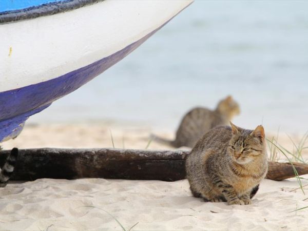 Hotel La Tavernetta - foto 24232.jpg