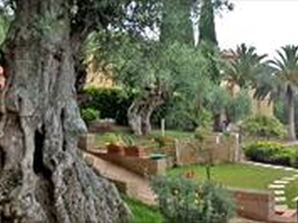 Madonna del Poggio - foto 24249.jpg