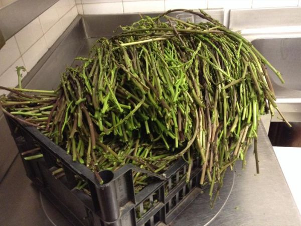 Trattoria Toscana - foto 24388.jpg