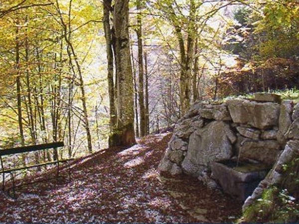 Park Camping Nevegal - foto 24433.jpg