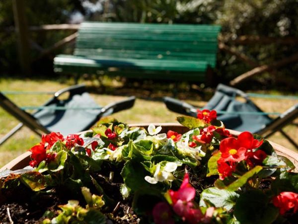 Agriturismo Casa il Colle - foto 24455.jpg