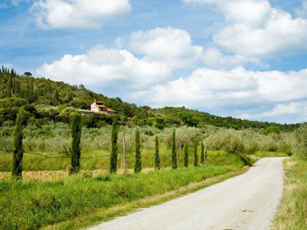 Agriturismo Casa il Colle - foto 24460.jpg