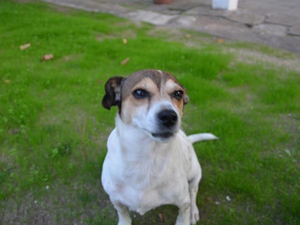 B&B Hotel Serenit - foto 24549.jpg