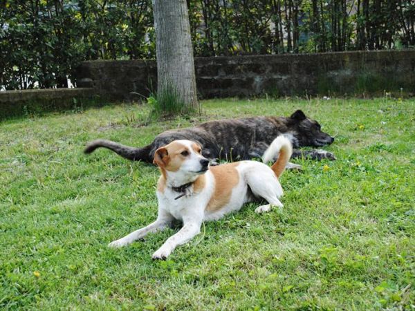 Tenuta Serpepe - foto 24692.jpg