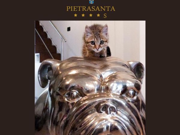 Palazzo Guiscardo  - foto 24838.jpg