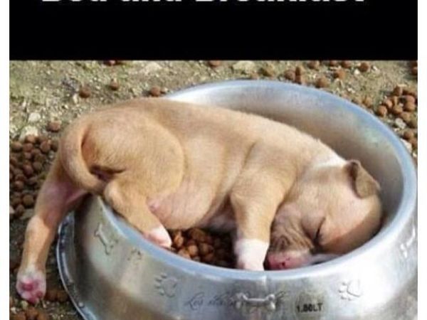 B&B Hotel Serenit - foto 24886.jpg