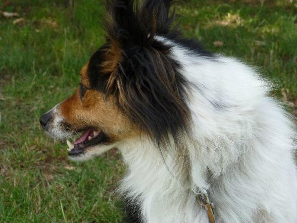 Agriturismo Podere Bello - foto 24903.jpg