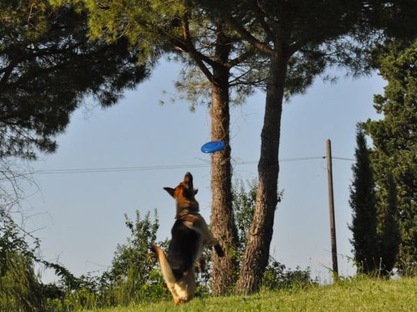 Agriturismo Il Molinello - foto 24917.jpg