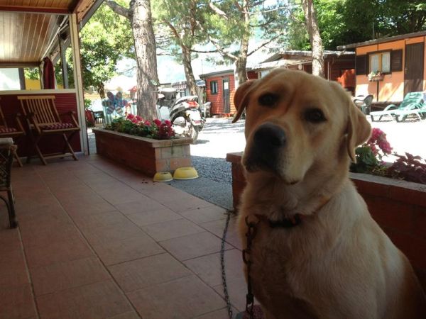 Campeggio Olivella - foto 24954.jpg