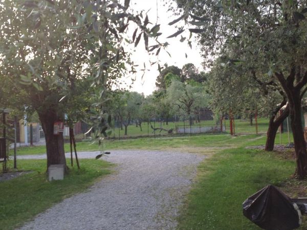 Campeggio Olivella - foto 24966.jpg