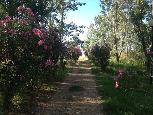 Park Village - foto 24992.jpg