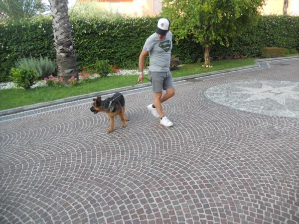 Hotel Premiere - foto 25151.jpg