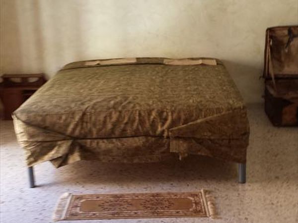 Uliveto dell�Elefante - foto 25282.jpg