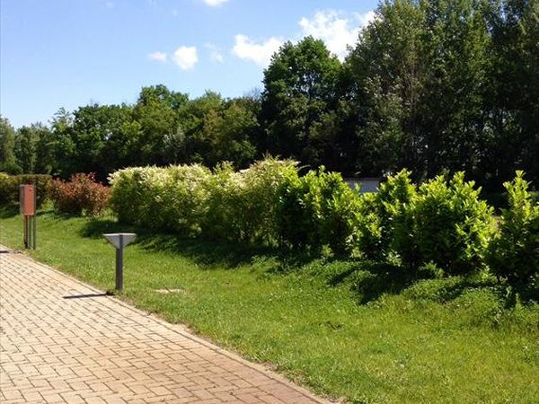 Motel 7 Laghi - foto 25317.jpg