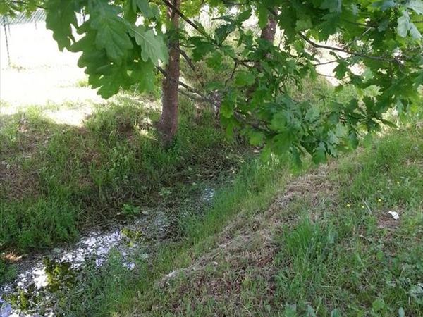 Agriturismo Ferramosca - foto 25478.jpg