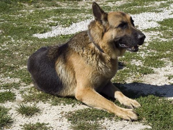 Agriturismo Ferramosca - foto 25483.jpg