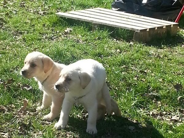 Agriturismo Ferramosca - foto 25572.jpg