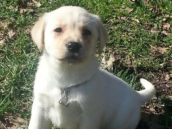 Agriturismo Ferramosca - foto 25574.jpg