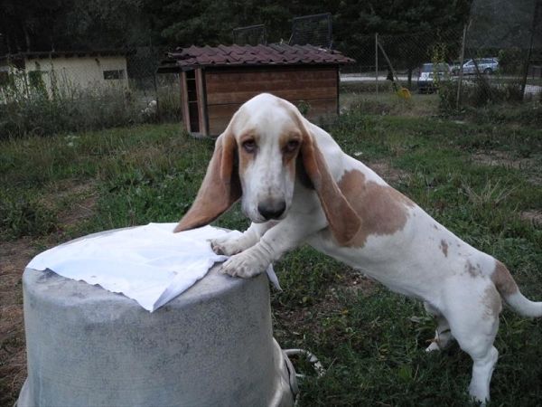 Agriturismo Ferramosca - foto 25607.jpg