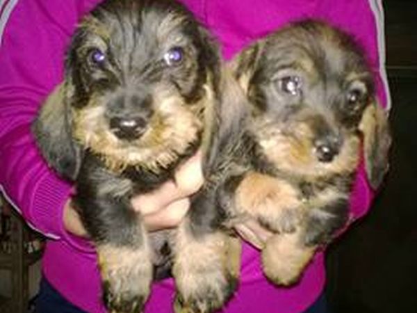 Agriturismo Ferramosca - foto 25608.jpg