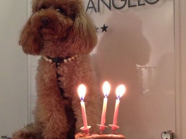 Hotel Michelangelo - foto 25664.jpg