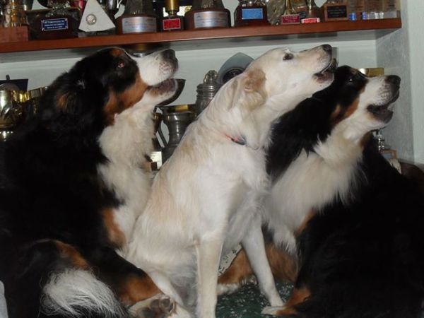 Hotel Marcellino - foto 25681.jpg