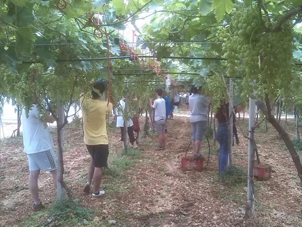 a San Domenico - Appartamenti B&B - foto 26066.jpg