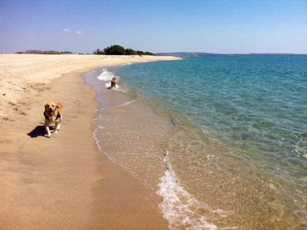 NIRVANA Club Village - foto 26117.jpg