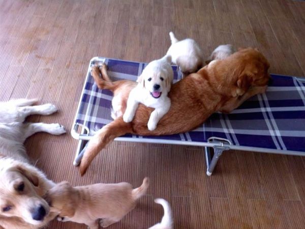 NIRVANA Club Village - foto 26120.jpg