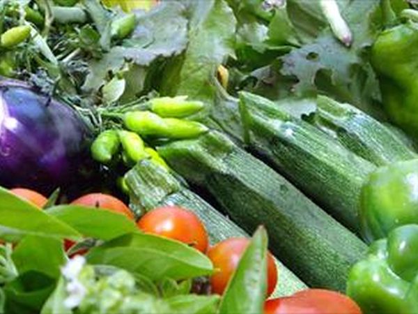 Agriturismo A Lanterna - foto 26328.jpg