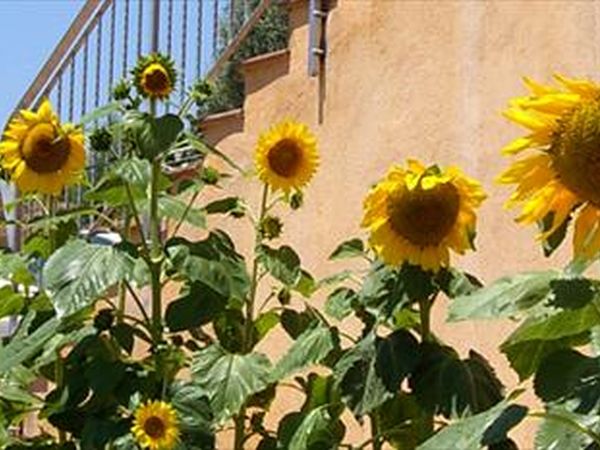 Agriturismo A Lanterna - foto 26335.jpg