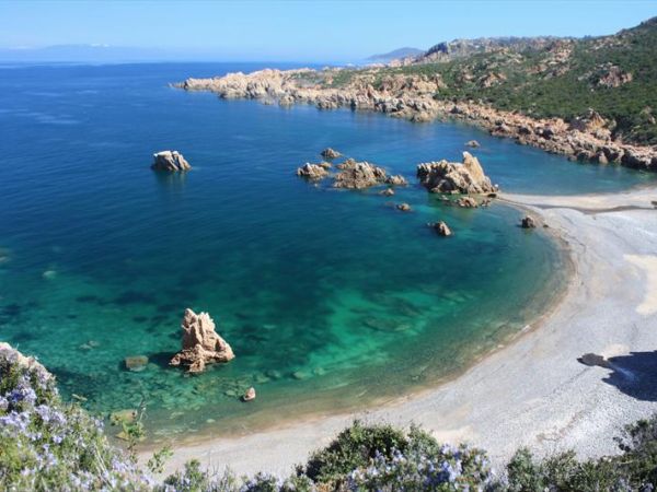 Agenzia SIT - foto 26355.jpg