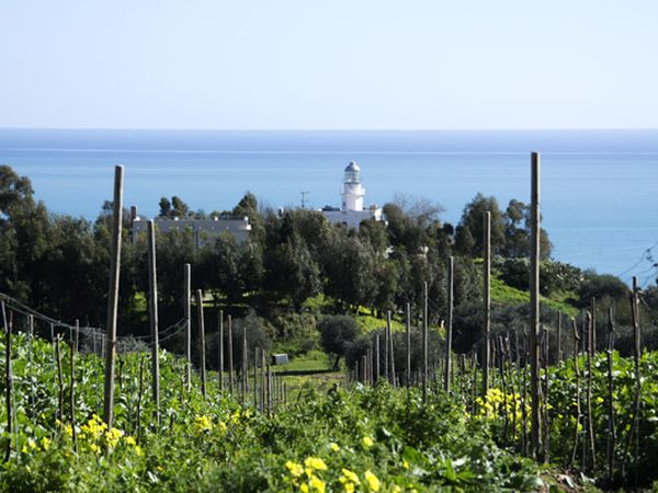 Agriturismo A Lanterna - foto 26423.jpg